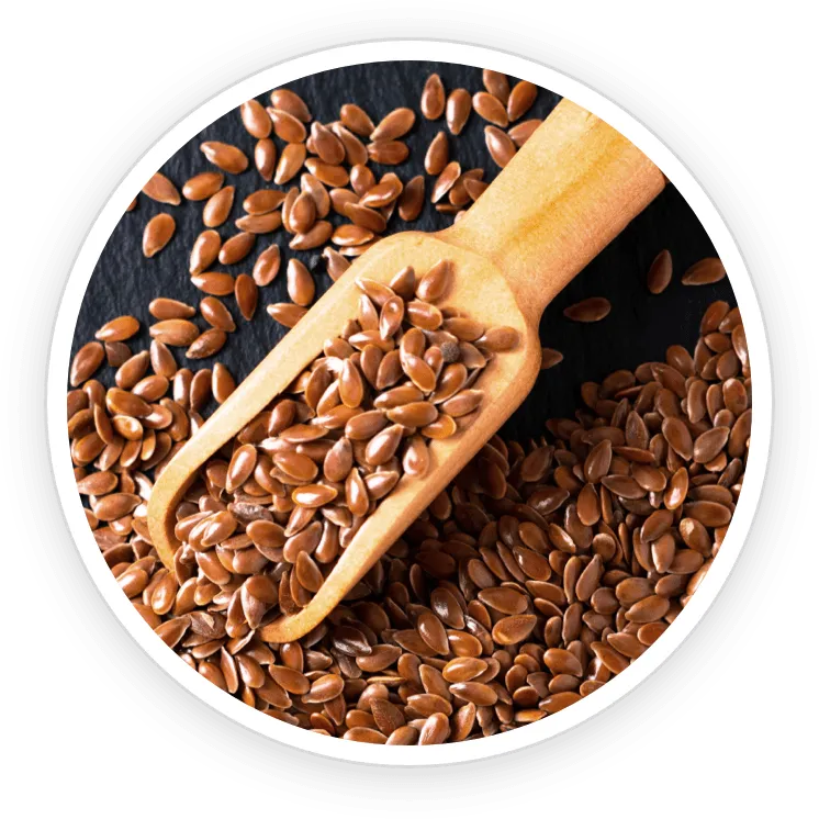 Pawbiotix Ingredient Flax Seed Powder