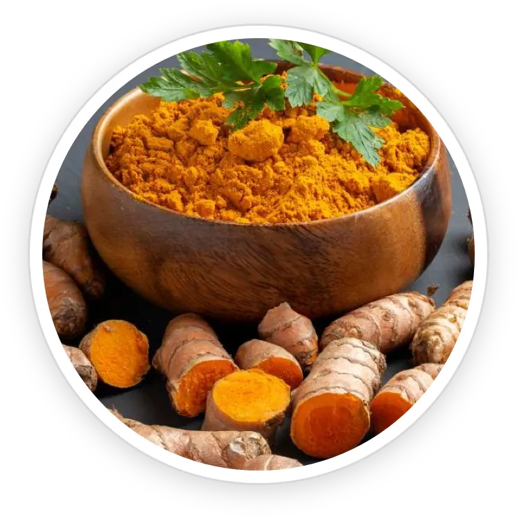 Pawbiotix Ingredient Turmeric Root Extract